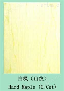 天成木业-贴面板系列-白枫（山纹）