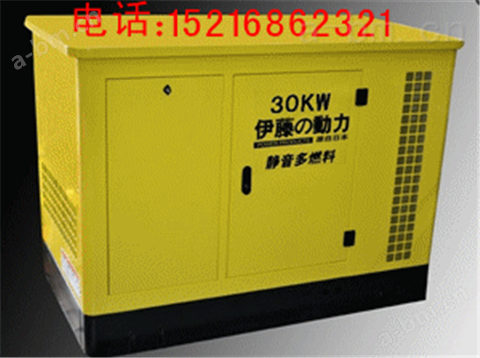 30KW燃气发电机-*汽油发电机