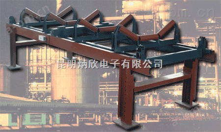 云南工业皮带电子秤